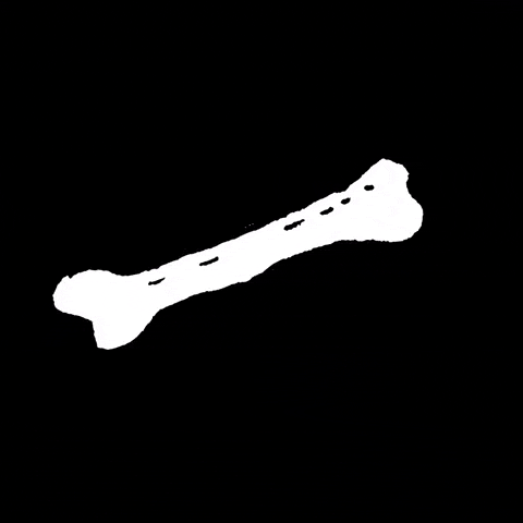 fractures, age-related illness, weak bones, serious injury, posture, balance, flexibility, therapy, healthy lifestyles