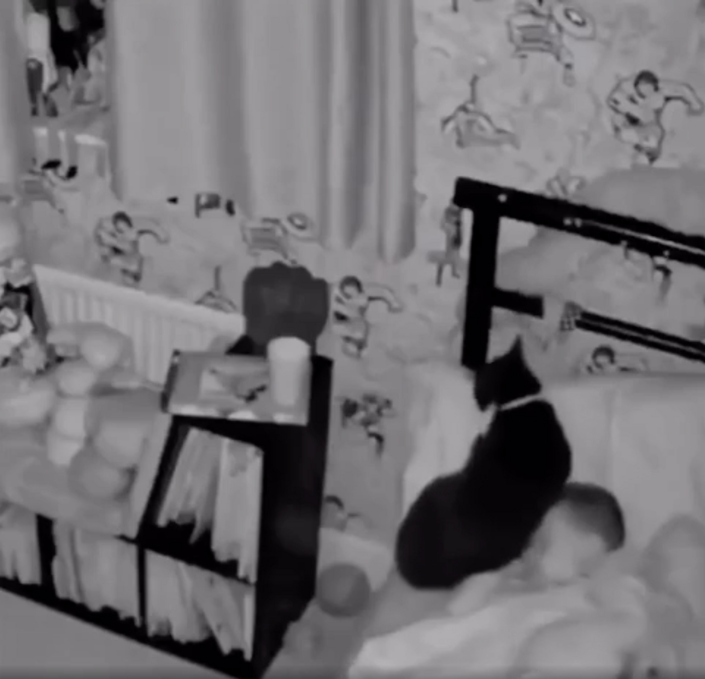cats, toddlers, pets and kids, viral video, Reddit, heartwarming, good news, animal friendship, cute animals, security camera