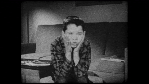 sleep, BMI, Body Mass Index, family dynamics, childhood obesity, attention, retention, reproduction, motivation