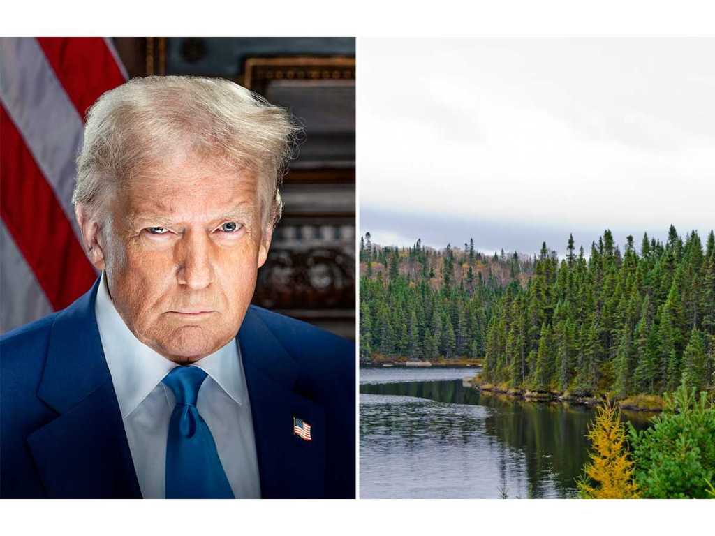 President, Donald J. Trump, Trump, forest, national forest, Roadless Rule, roll back