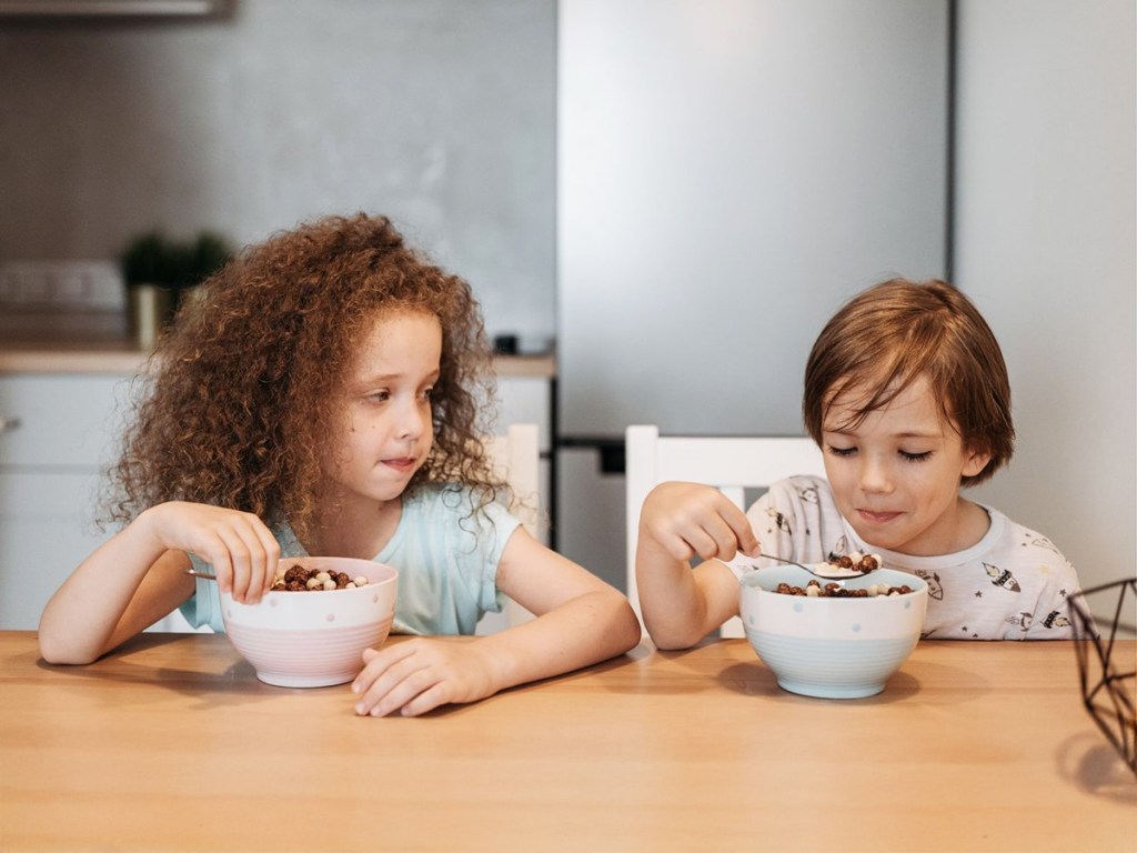 direct aggression, social aggression, hostile behavior, family dynamics, sibling rivalry, sibling aggression, community, culture