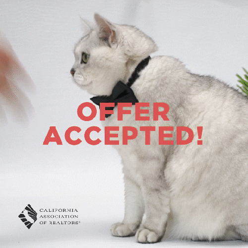 giphy, Alabama mom, confrontations, debates, disputes, healthy discussion, legal battles