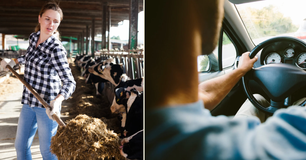 future predictions, Reddit, AskReddit, social commentary, ethics, environmentalism, healthcare reform, technology, modern life, societal progress