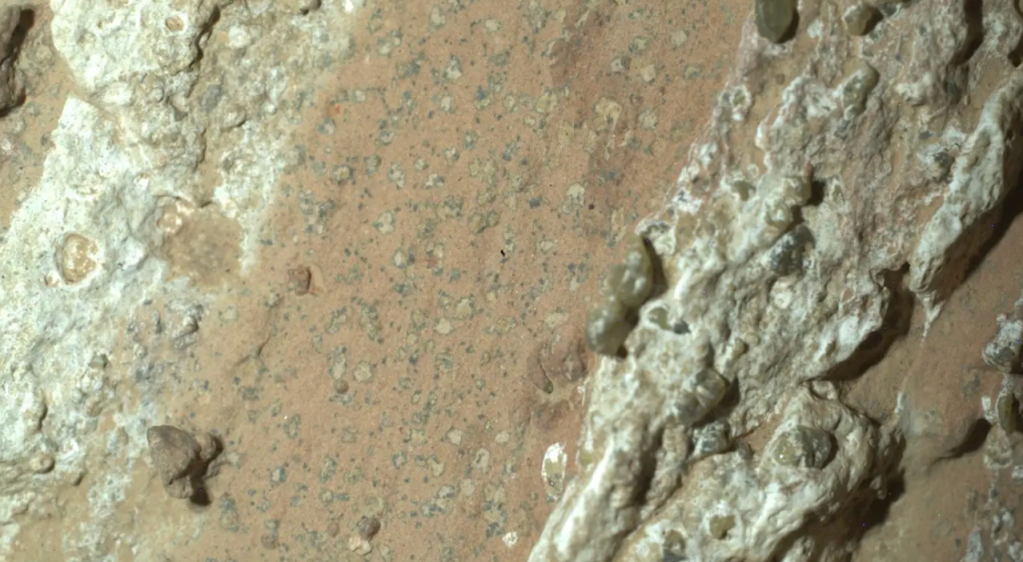 mars, space, nasa, life, discovery, life on mars,