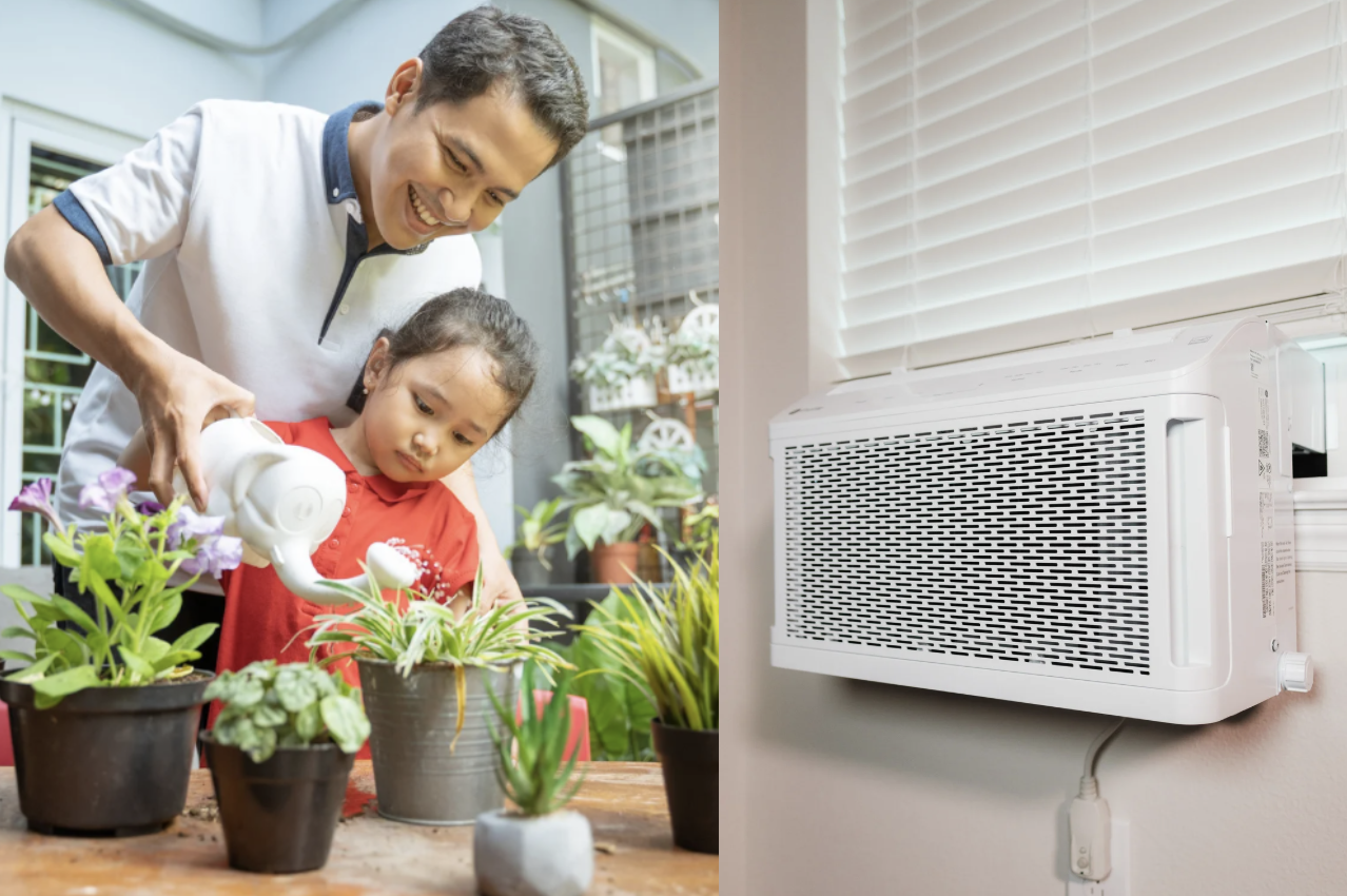 air conditioner, water, plants, money saving tips, environment