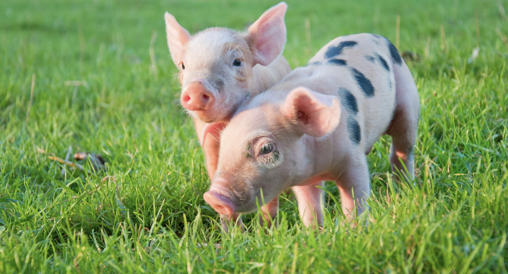 future predictions, Reddit, AskReddit, social commentary, ethics, environmentalism, healthcare reform, technology, modern life, societal progress