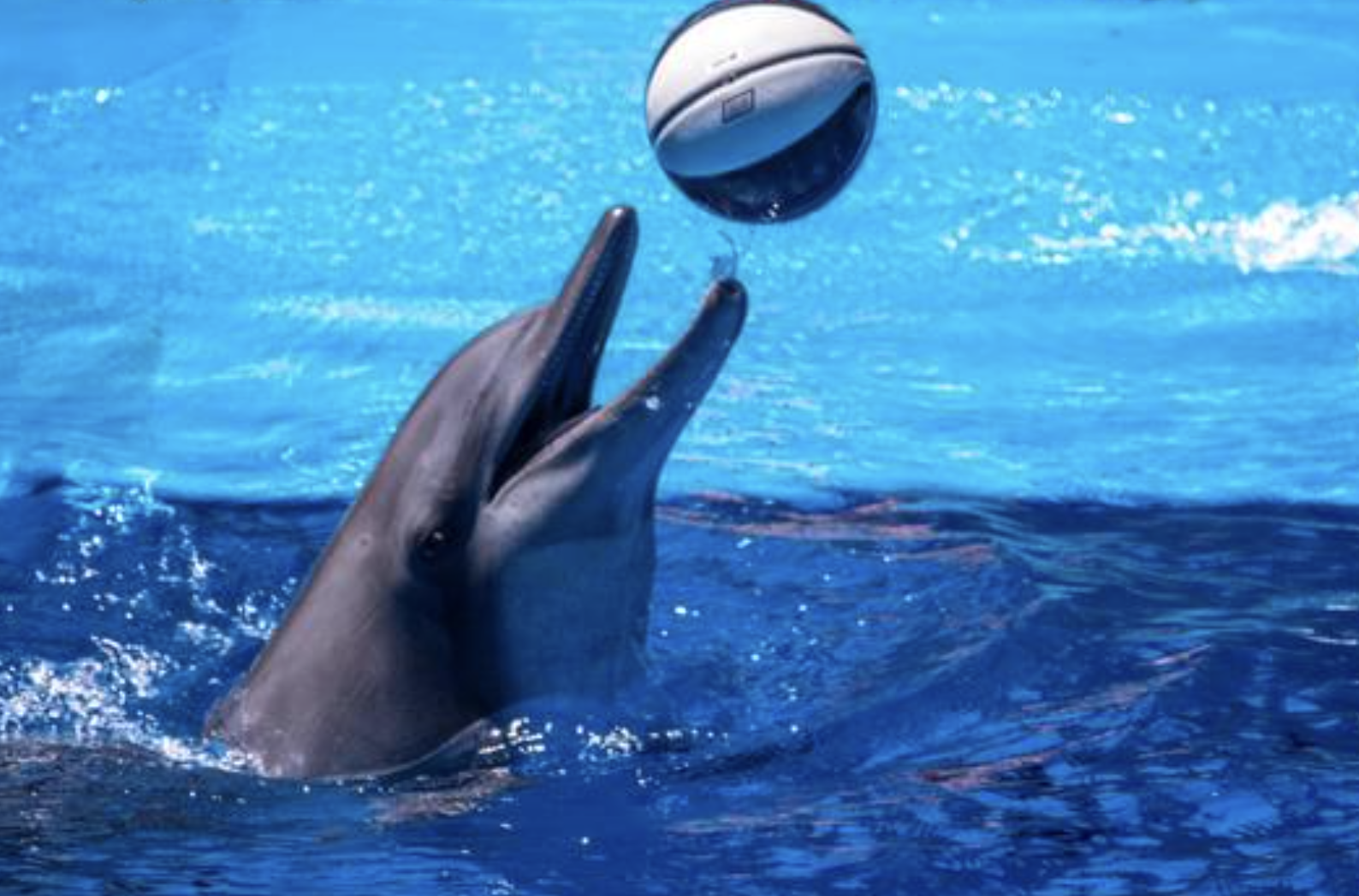 future predictions, Reddit, AskReddit, social commentary, ethics, environmentalism, healthcare reform, technology, modern life, societal progress