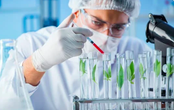 Scientist, sense of distance, sense of direction, University of St. Andrews 