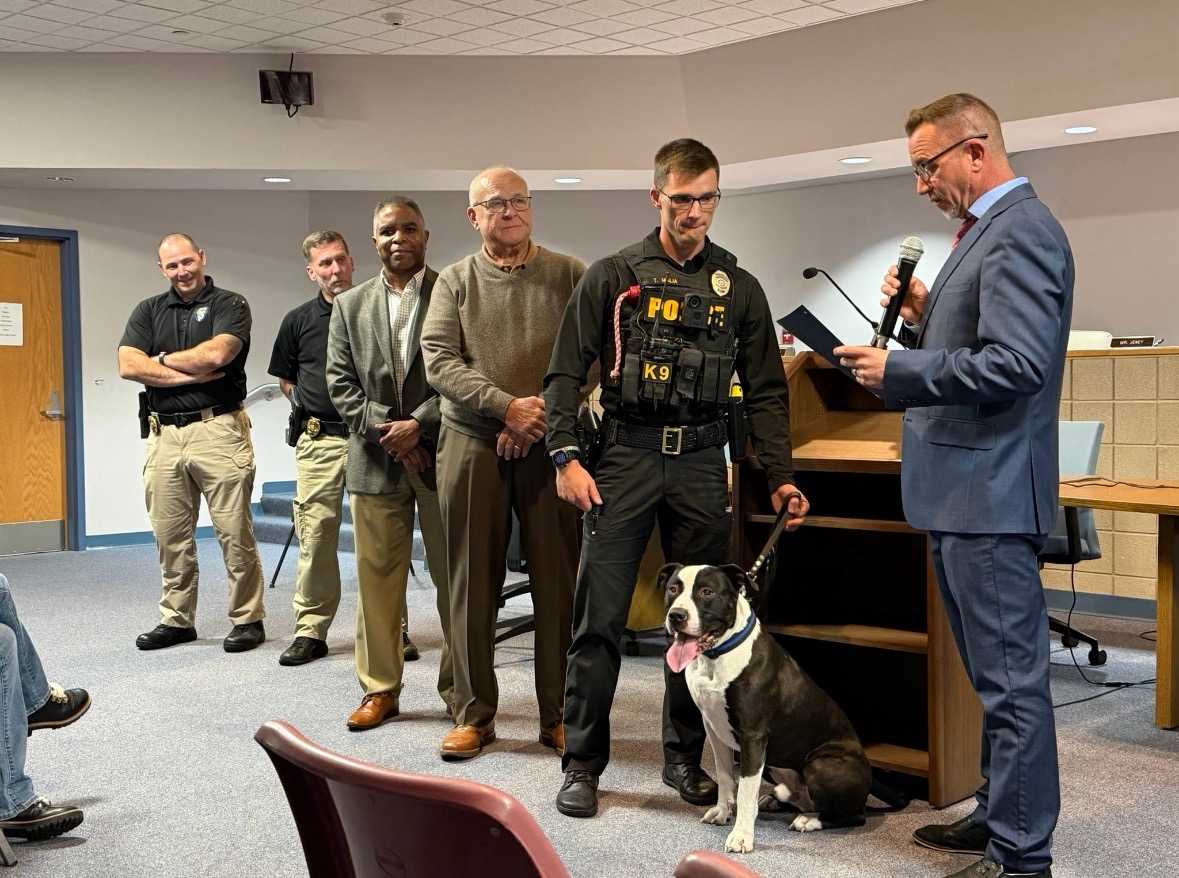 dog, k-9, pit bull, police department 