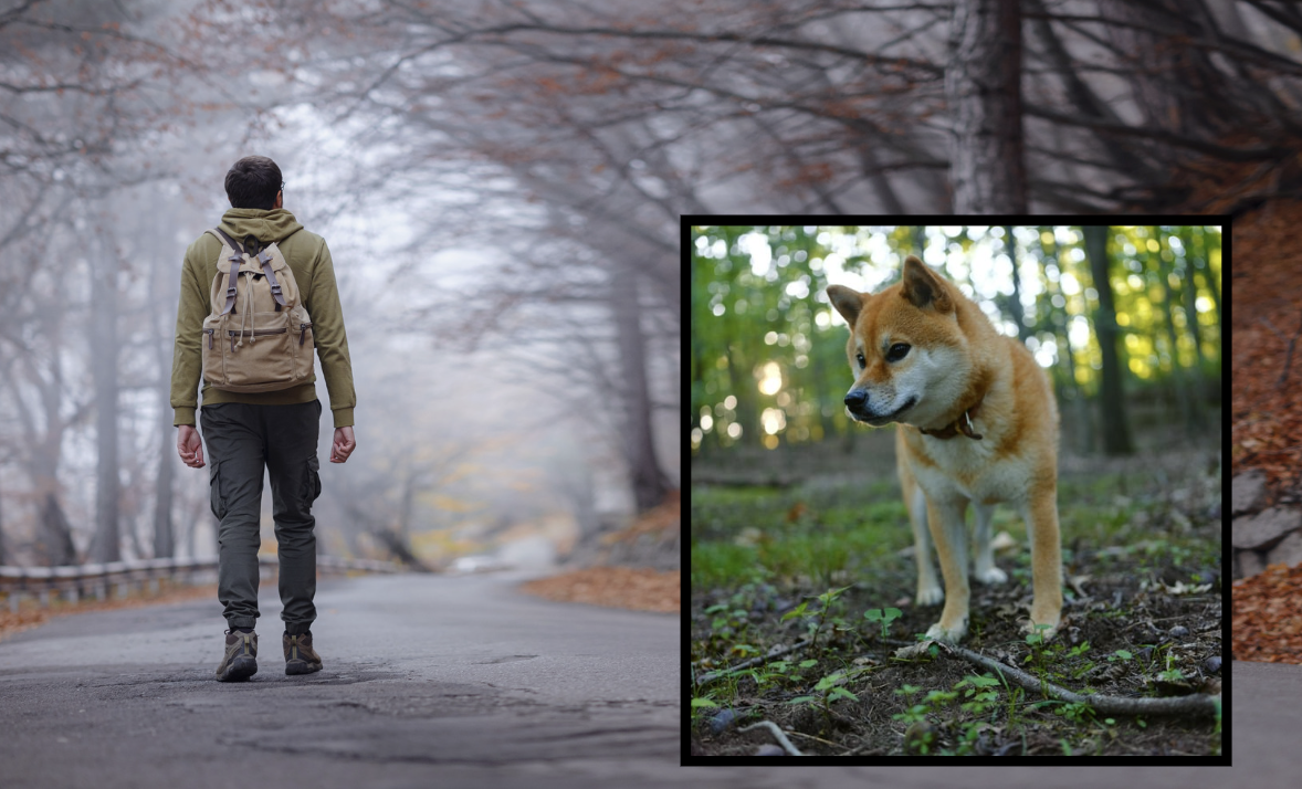 A man was walking across Japan alone for 256 days. Then he met a tiny ...