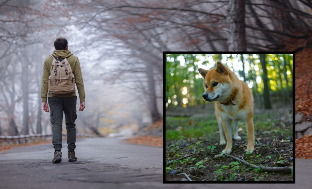 Kantaro Inagaki, Shiba Inu, walking across Japan, San-Chan, travel vlog, viral video, TikTok, Japan travel, wholesome story, dog adoption