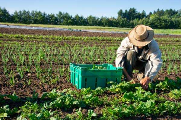 rural life, working parents, modern motherhood, family dinner, marriage dynamics, gratitude, emotional labor, farm life, parenting challenges, small town stories, everyday heroes, relationship insight, family sacrifices, motherhood perspective, southern life, working dad