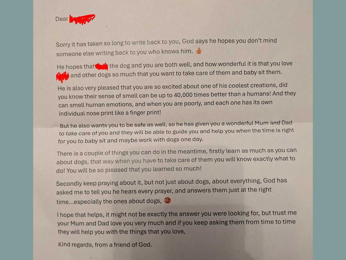 United Kingdom, Mum, Dad, response letter, answers, mail, friend, love for dogs, learning opportunity