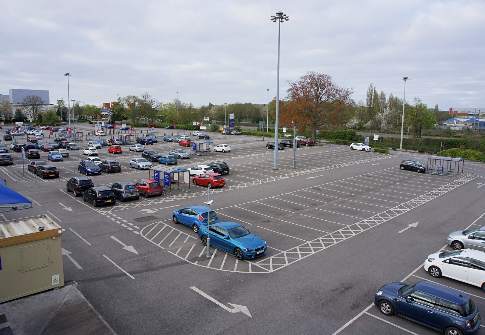 disability rights, accessibility, ableism, discrimination, viral TikTok, Madeline Delp, parking attendant, harassment, wheelchair user, public access