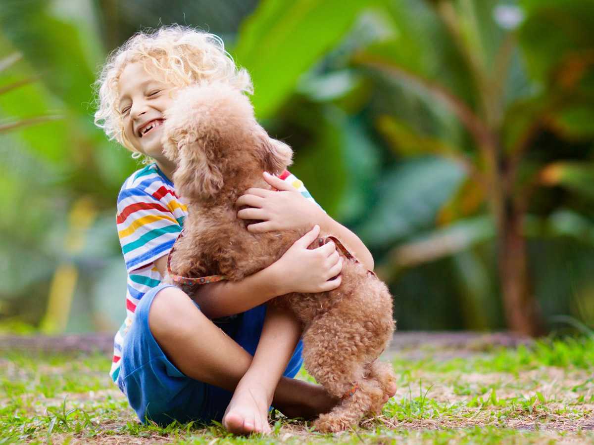 puppies, Newsweek, mother, anonymous, mystery, delighted daughter, socially distant, charitable acts, kindness