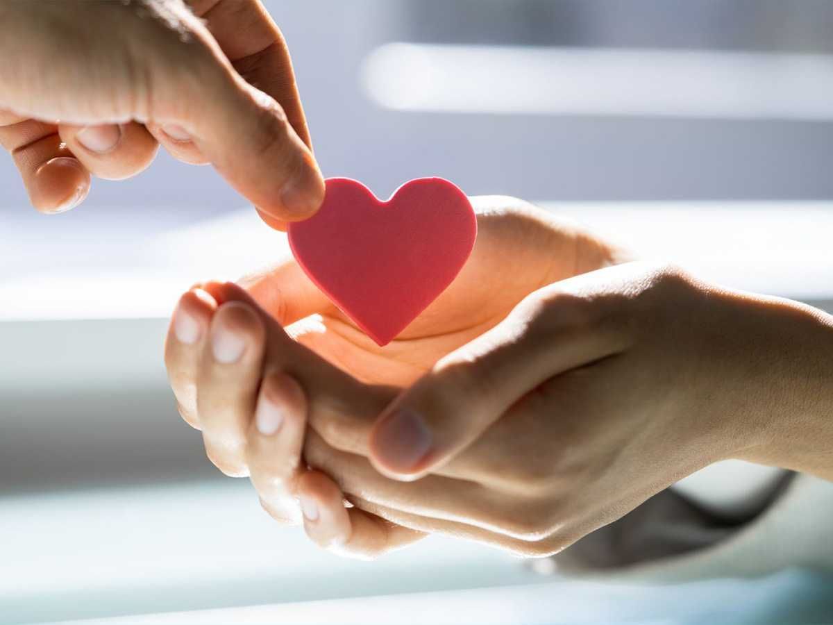 charitable donations, emotional appeal, cost, logistics, resale, methodology, high-impact giving, overhead