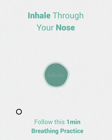 simple technique, reduce stress, calm the mind, improve focus, cycle of breathing, 4 seconds