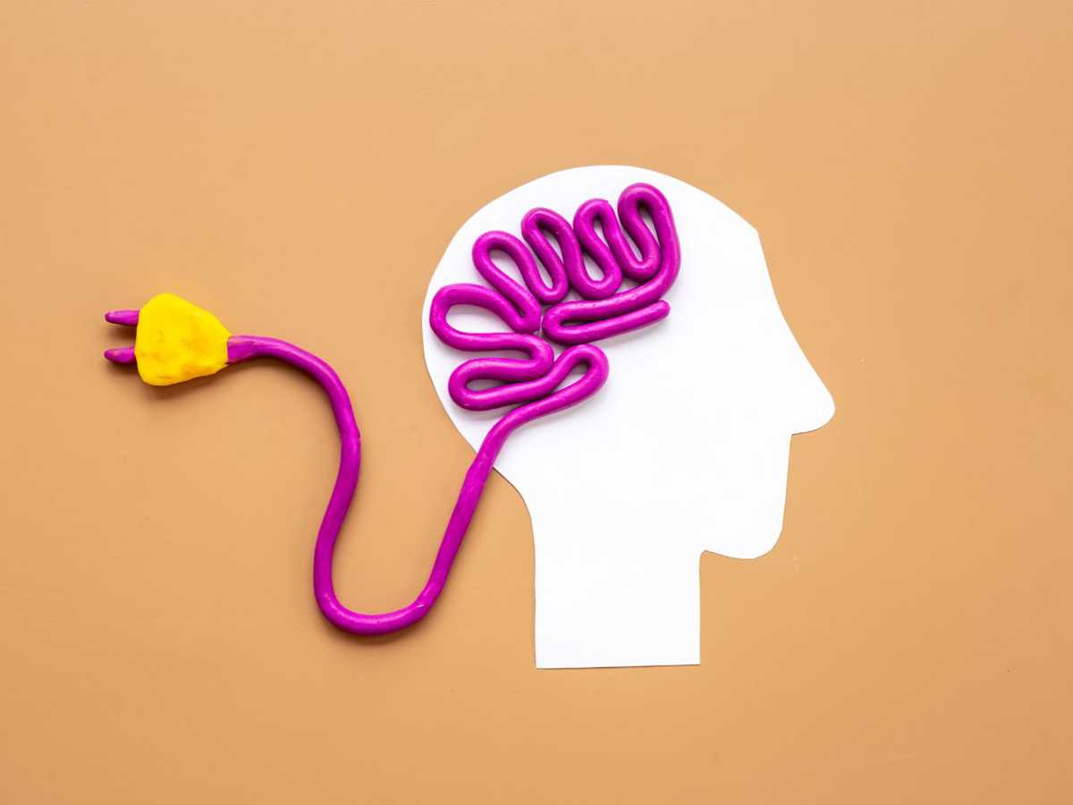 brain power, practical applications, new skill, healthy habits, life lessons, revisiting information, neuroplasticity, cognitive load