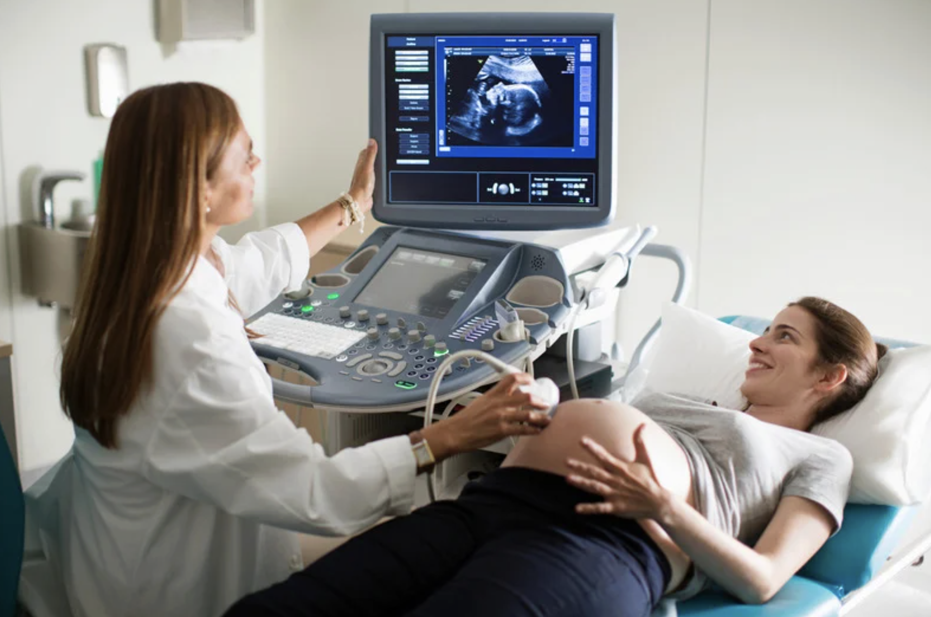 sonogram, ultrasound, dog, baby, Inu00eas Egner, Goulash, TikTok, viral video, pregnancy, funny