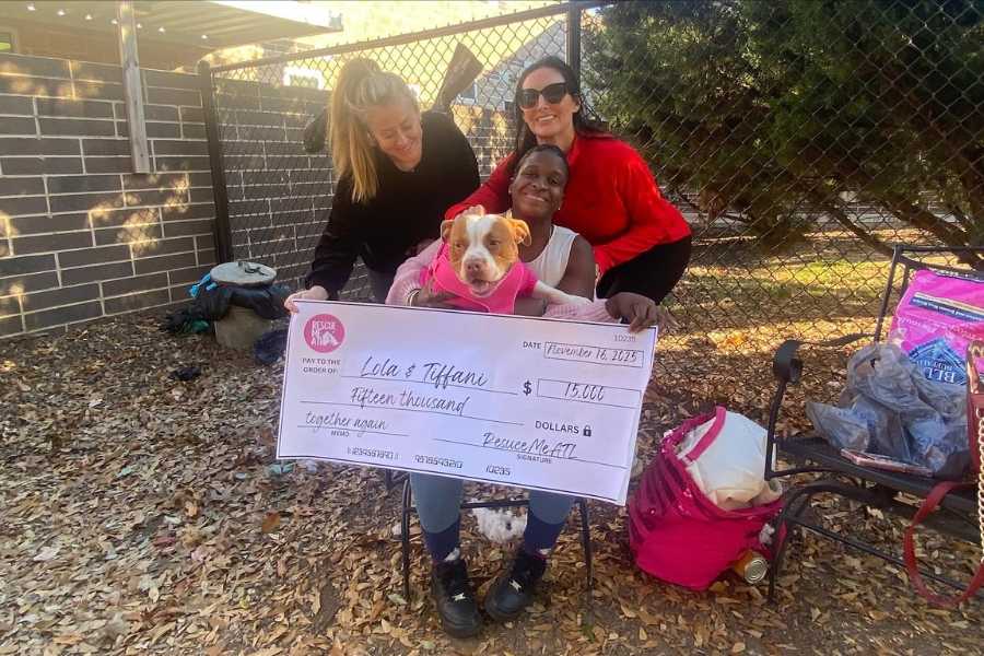 animal welfare, dog reunion, animal shelter, dog parents, fundraisers