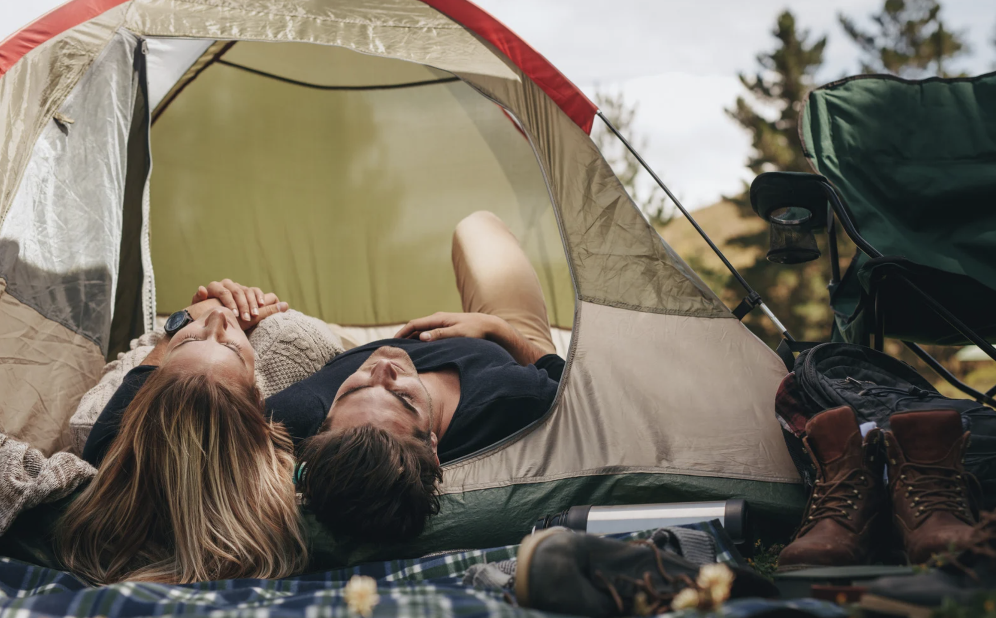 pit bull rescue, hero dog, Gary Thynes, Pittsburgh, WTAE-TV, dog saves owners, animal control, foster dog, good news, canine hero