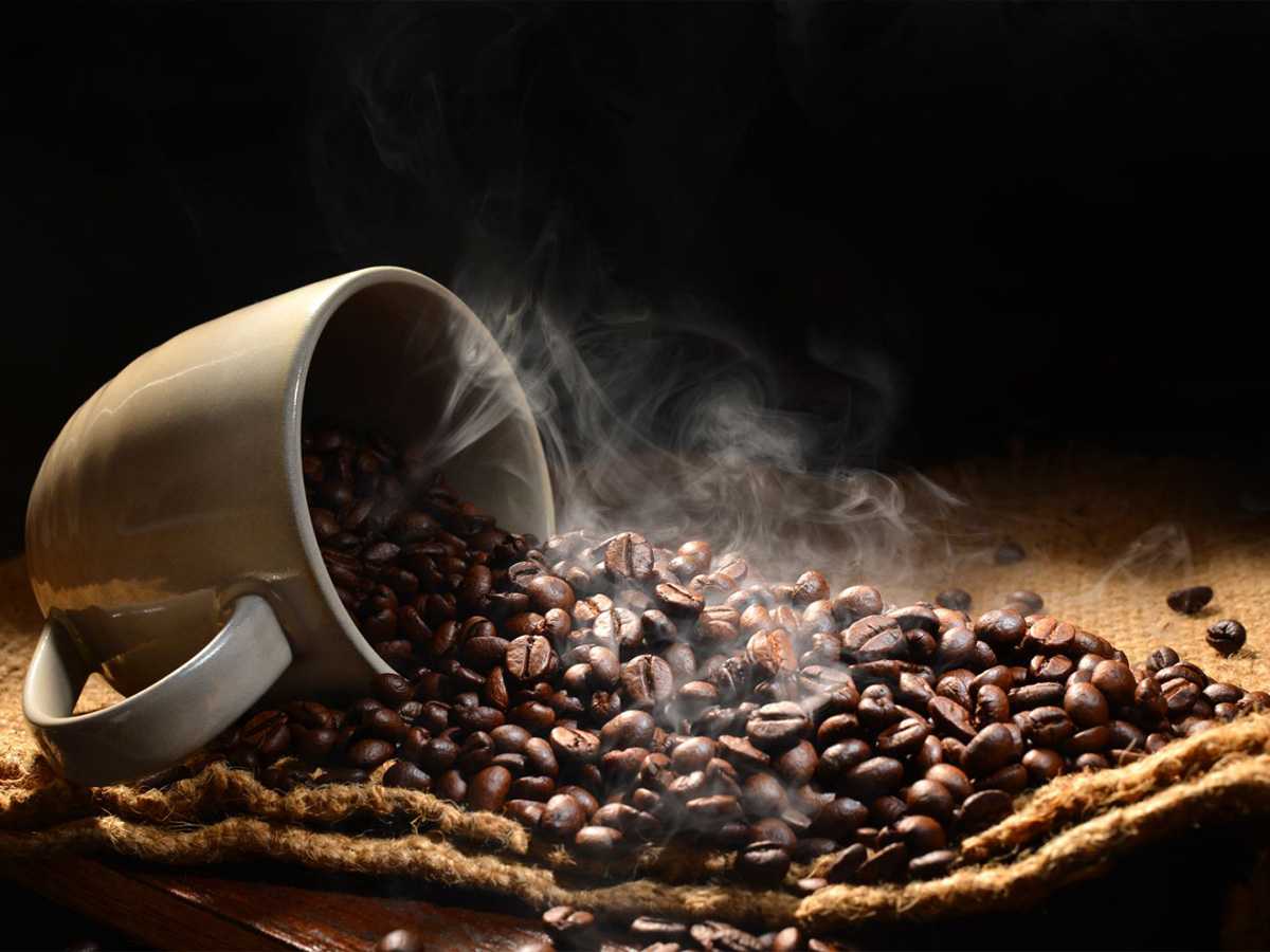 heart health, stress response, genomic stability, Alzheimer's, Parkinson's, polyphenols, healthy aging