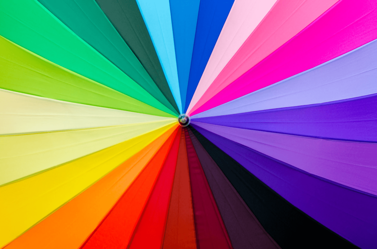 color test, Lenstore, color perception, visual test, tricky test, online challenge, color blindness, Israel Abramov, men vs women, age