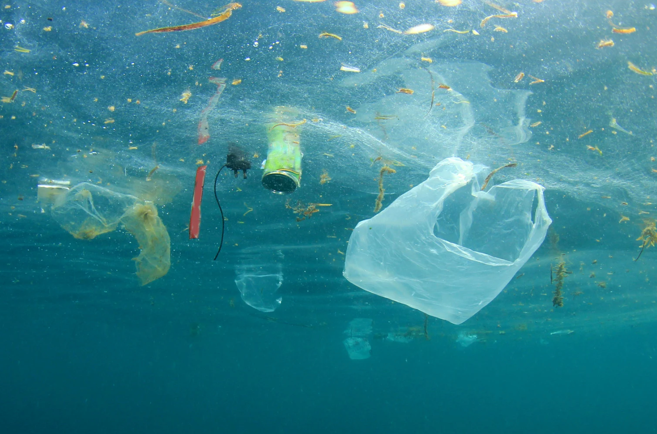 future predictions, 2075, barbaric habits, Reddit AskReddit, societal change, medical advancements, factory farming, child influencers, future tech, cultural shifts