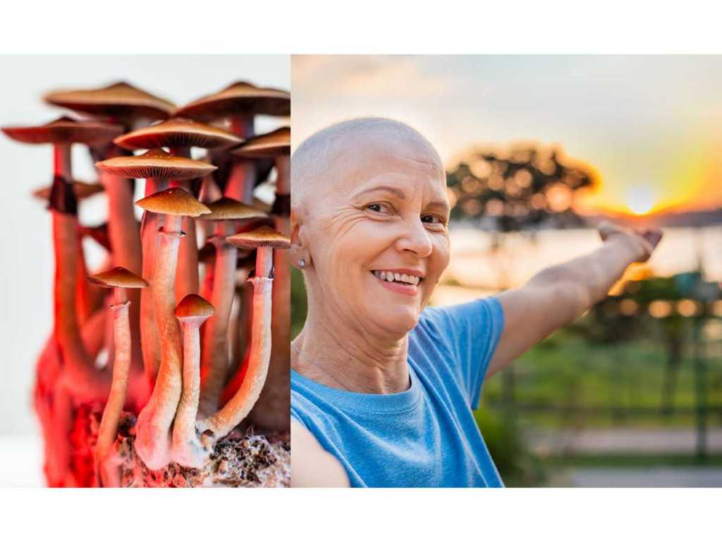 psilocybin, depression, cancer treatment, antidepressants, marginal effects, anxiety, grief, fear