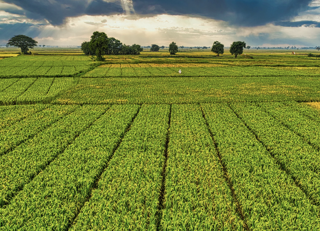 future predictions, 2075, barbaric habits, Reddit AskReddit, societal change, medical advancements, factory farming, child influencers, future tech, cultural shifts