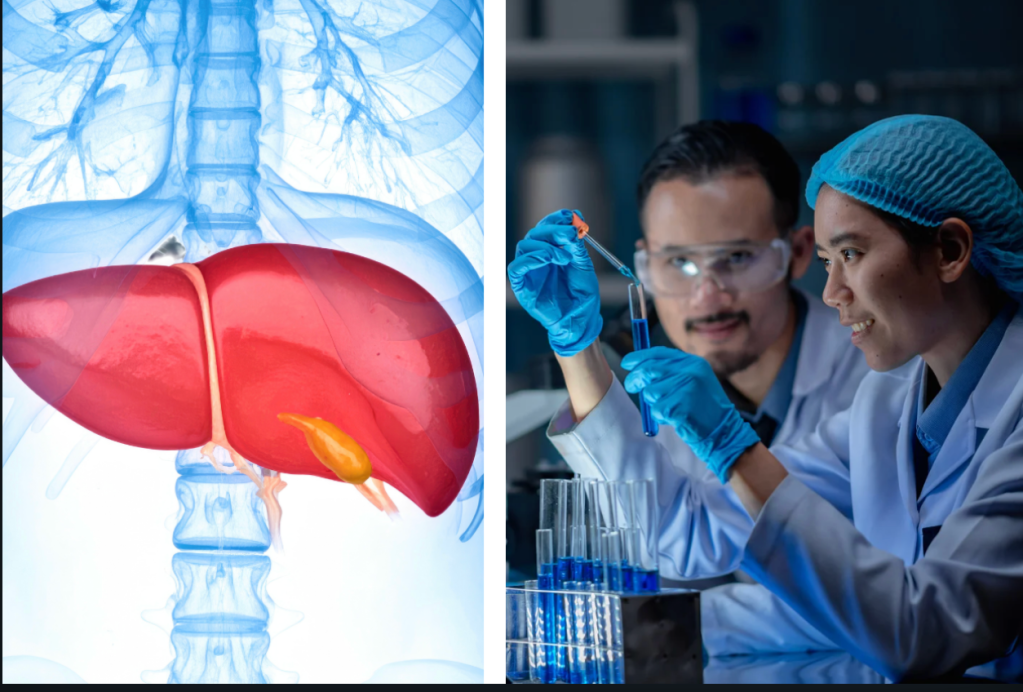 medical breakthrough, liver transplant, 3D bioprinting, organ donation, healthcare
