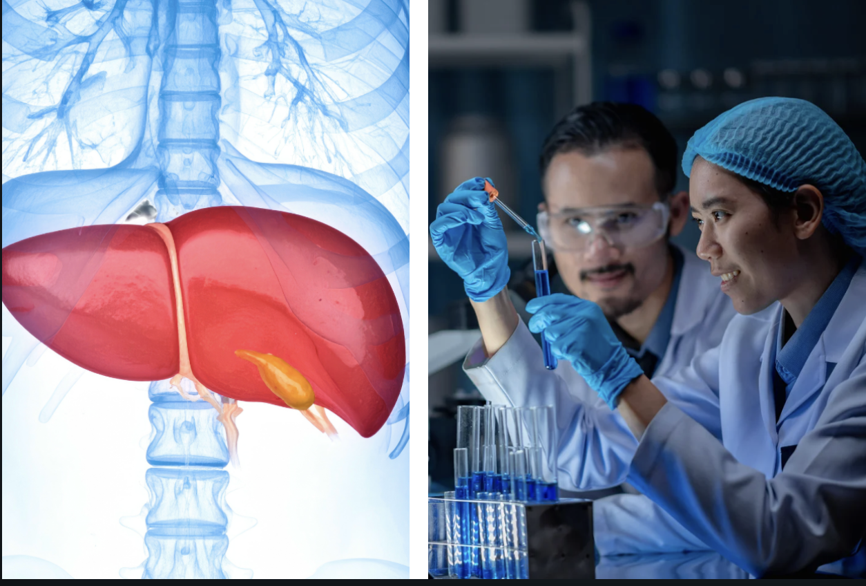 medical breakthrough, liver transplant, 3D bioprinting, organ donation, healthcare