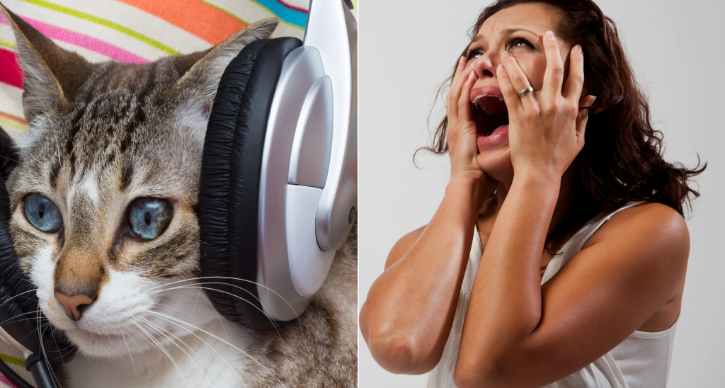 anxiety hacks, stress relief tips, managing anxiety, mental health advice, natural anxiety relief, panic attack help, grounding techniques, mental health survey