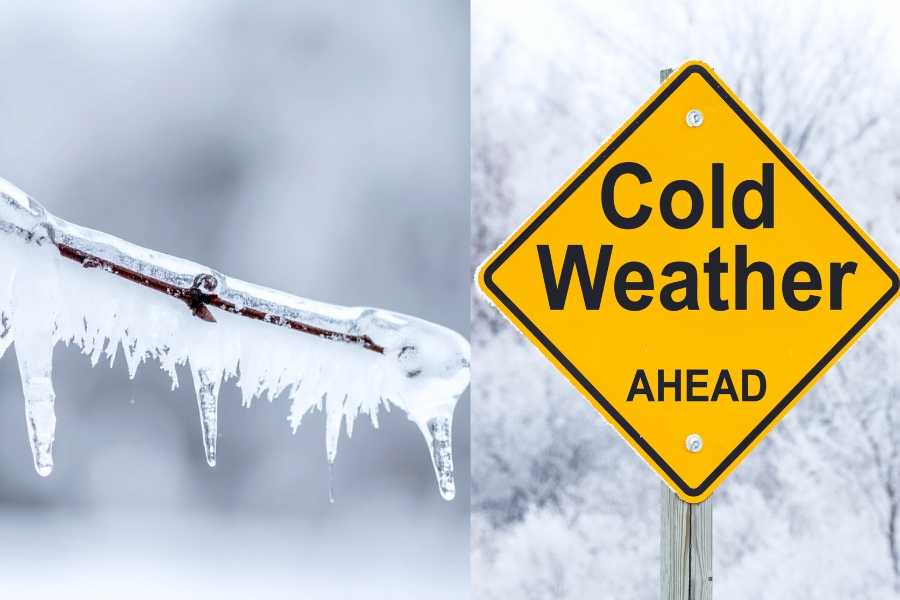 Cold, ice, winter, weather, winter storm