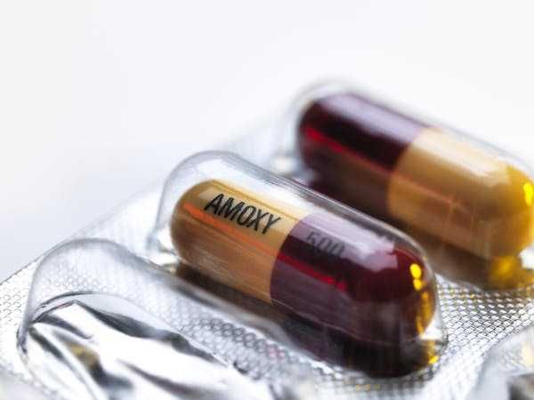 Amoxicillin is a commonly prescribed broad-spectrum antibiotic.