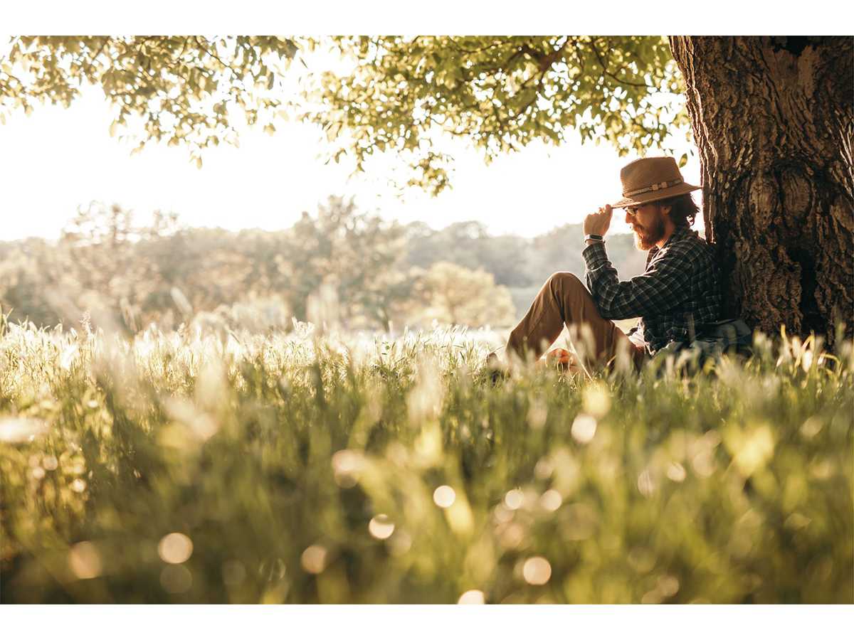 tree, shade, community, planting trees, loving, safety, connection