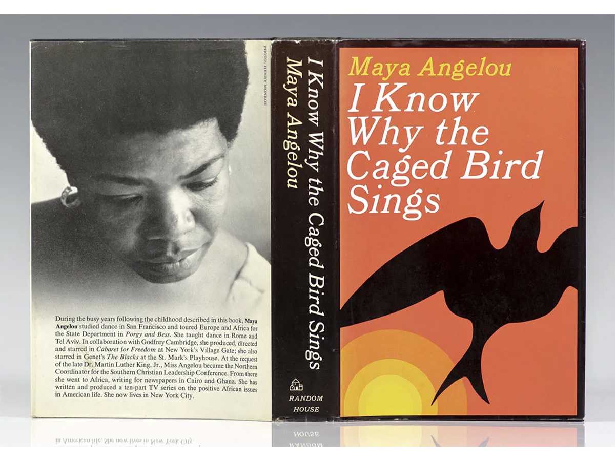 author, bestseller, womanhood, trauma, black culture, literary, Grammy Awards, racial barriers