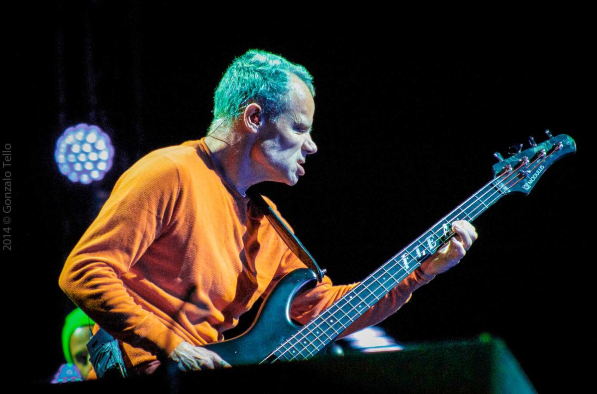 live performance, Lollapalooza, 2014, bass guitarist, famous people, artists, creatives, talented people