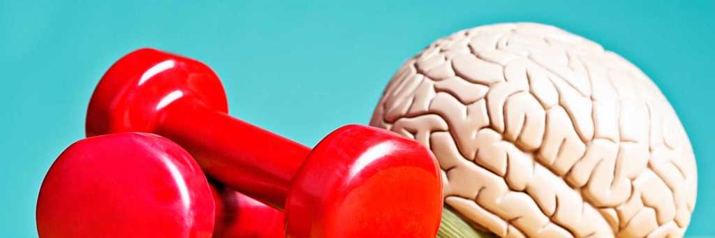 Sleep, Muscles, Neuroplasticity, Brain training, REM sleep, Rest, Healthy aging, Muscle gain, Cognitive health, Sleep health