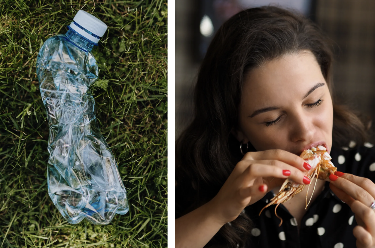 plastic, shrimp, nickel, environment, waste