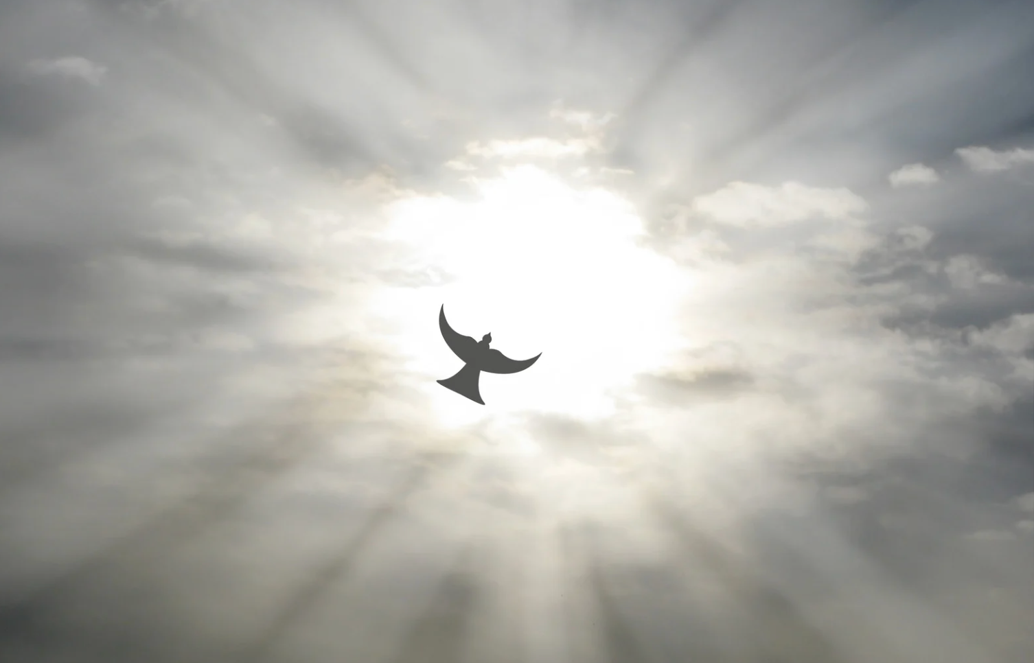 BJ Miller hospice, moments after death, palliative care explained, Zen Hospice Project, death and dying, Oprah Winfrey BJ Miller interview, sensation of dying