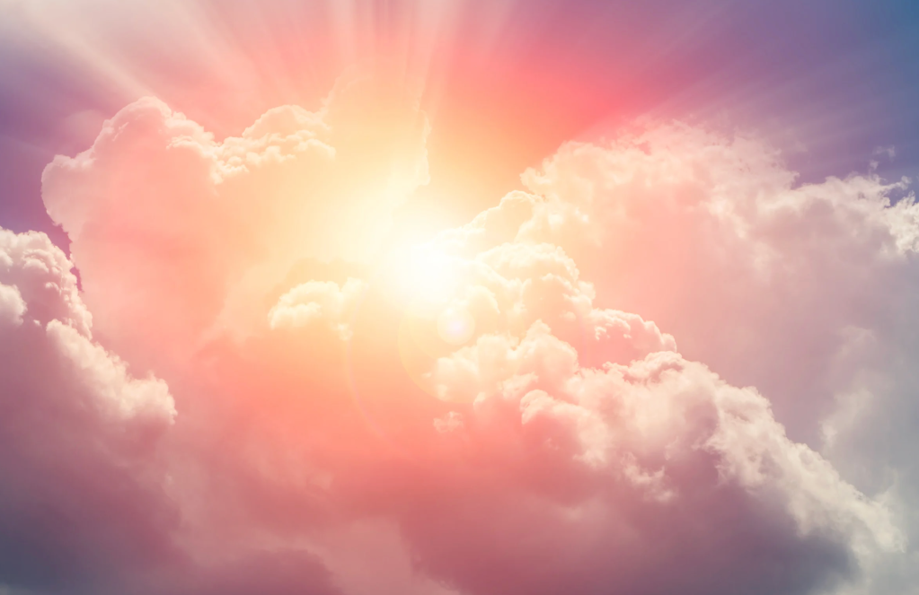 third state of existence, xenobots and anthrobots, cellular consciousness, Alex Pozhitkov study, life after death science, biobots medicine, biological robots