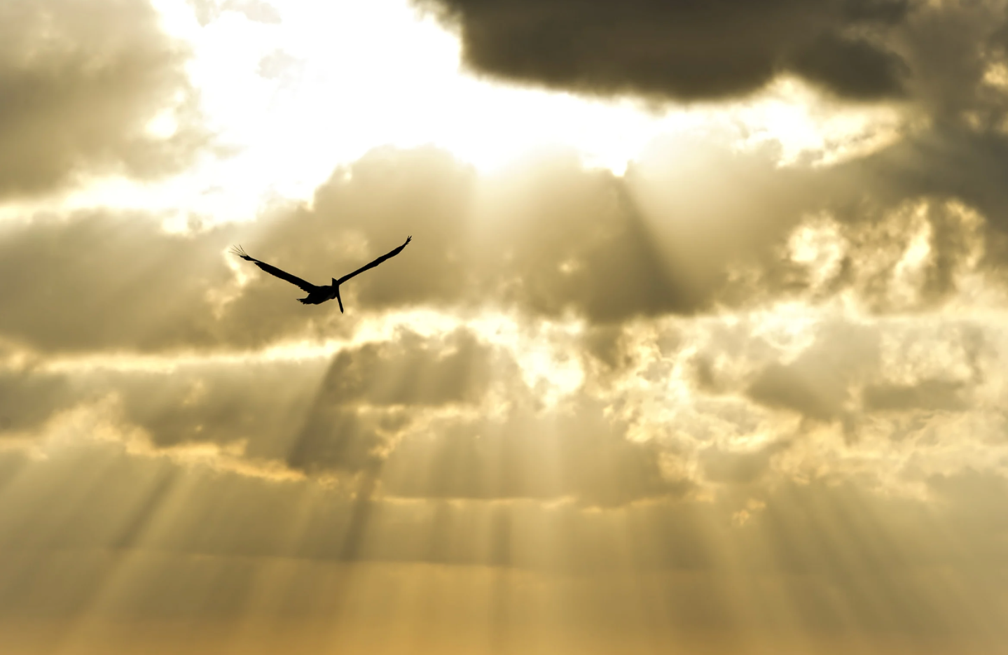 BJ Miller hospice, moments after death, palliative care explained, Zen Hospice Project, death and dying, Oprah Winfrey BJ Miller interview, sensation of dying