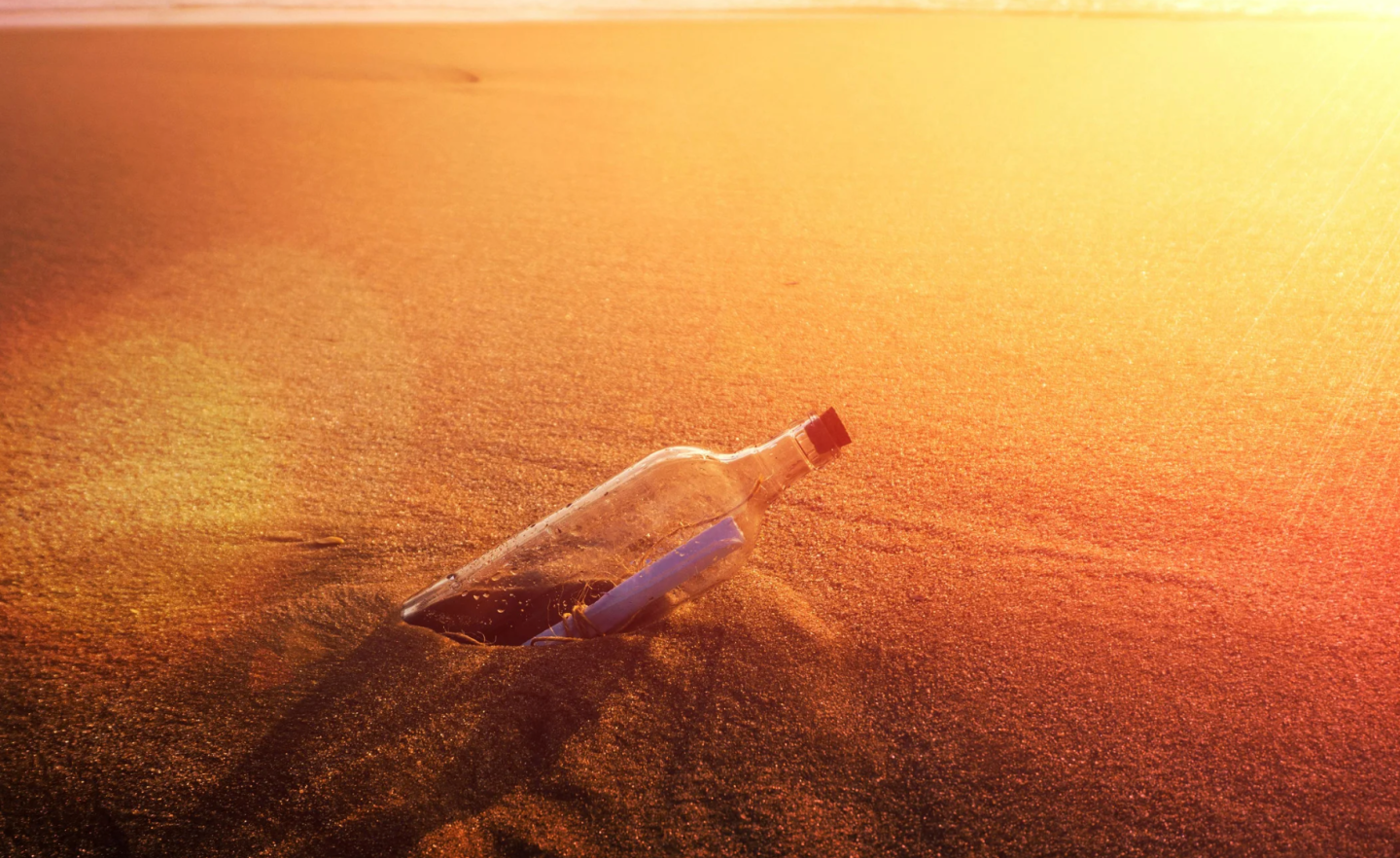 human connection, message in a bottle, nostalgia, ocean, unexpected reunion