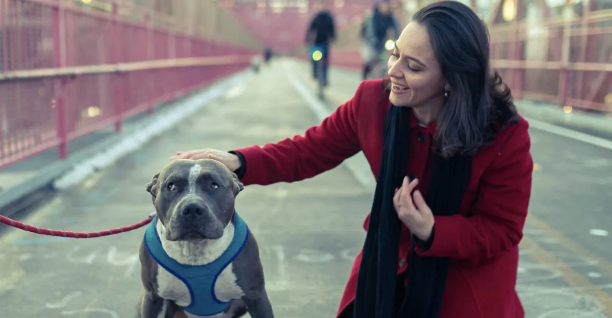 pet reunion, chip, dog training, lost dog, pet ownership tips