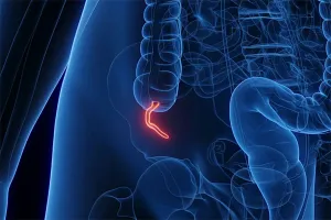 Most people get acquainted with their appendix when it’s inflamed and about to rupture.