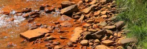 Acid mine waste turns rocks orange along Shamokin Creek in Pennsylvania.
