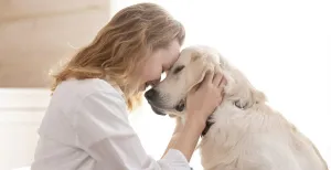 dogs, senior dog, veterinary care, lifespan, medicine