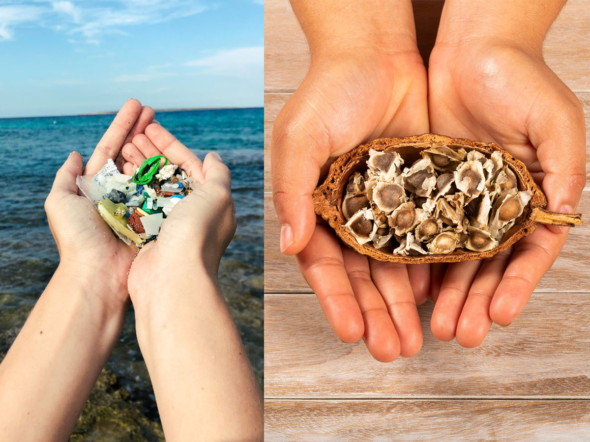 science, pollution, microplastics, Moringa oleifera, water filtration, drinking water