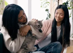 Two persons petting a cat while unpacking boxes in their new room.